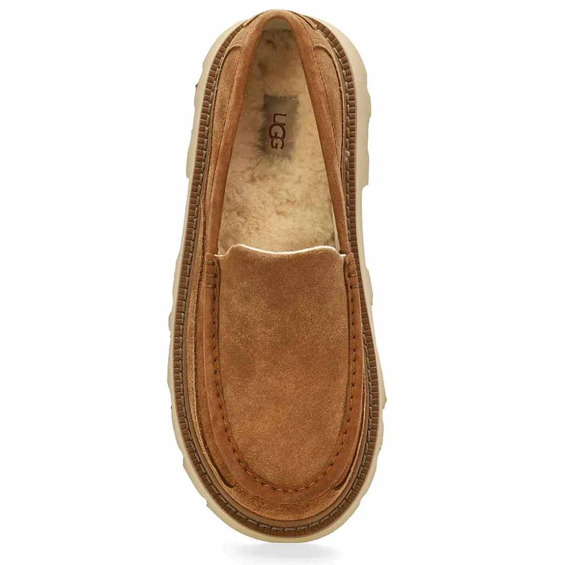 UGG Ascot Lug Men