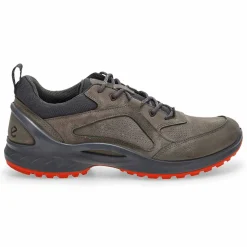 Ecco Biom Energi Explorer Men Best