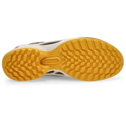 Ecco Biom Energi Explorer Men Outlet