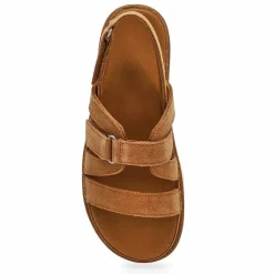 UGG Golden Star Gleam Women Chestnut
