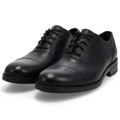 Cole Haan Newmark Grand Men Online