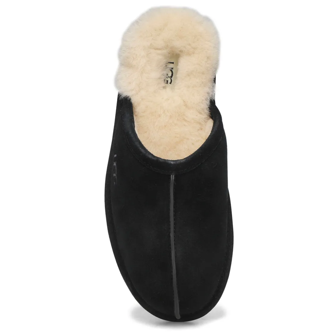 UGG Scuff Men Hot