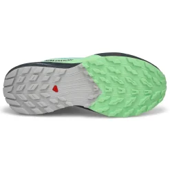 Salomon Sense Ride 5 GTX Women Black/Grey Ash/Indigo Discount