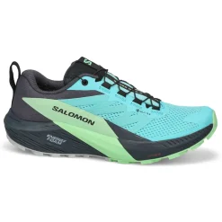 Salomon Sense Ride 5 GTX Women Black/Grey Ash/Indigo Discount