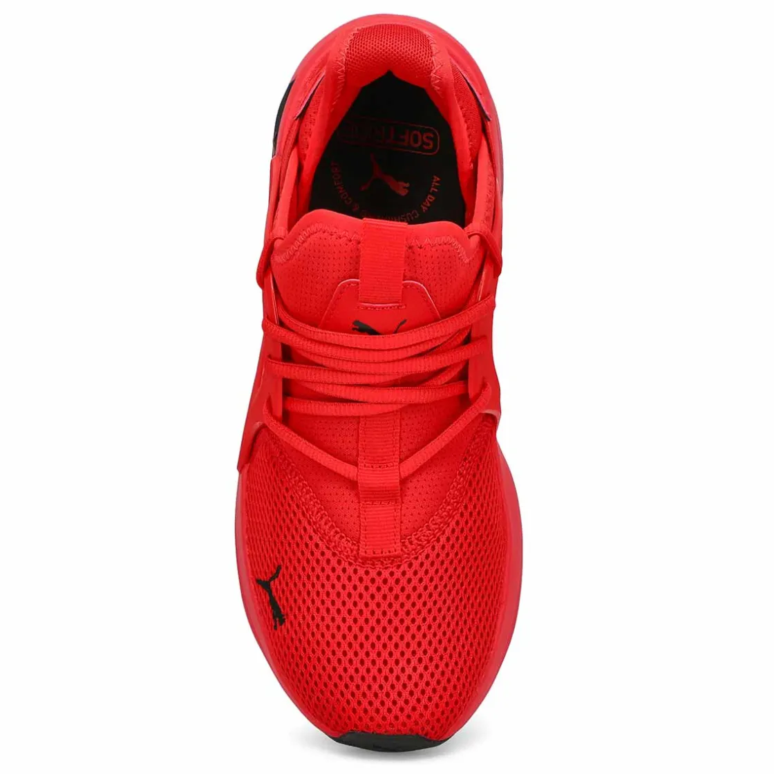 Puma Softride Enzo Evo Men Online