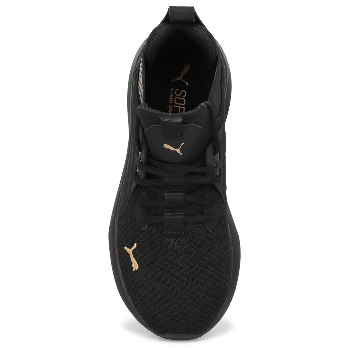 Puma Softride Enzo NXT Women New