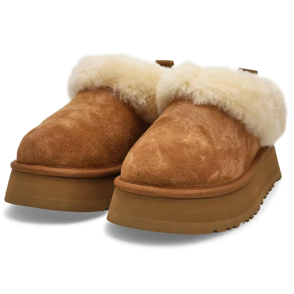 UGG Tazzelle Women New