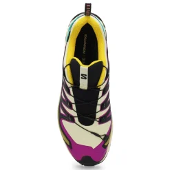 Salomon XA Pro 3D V9 GTX Men Discount